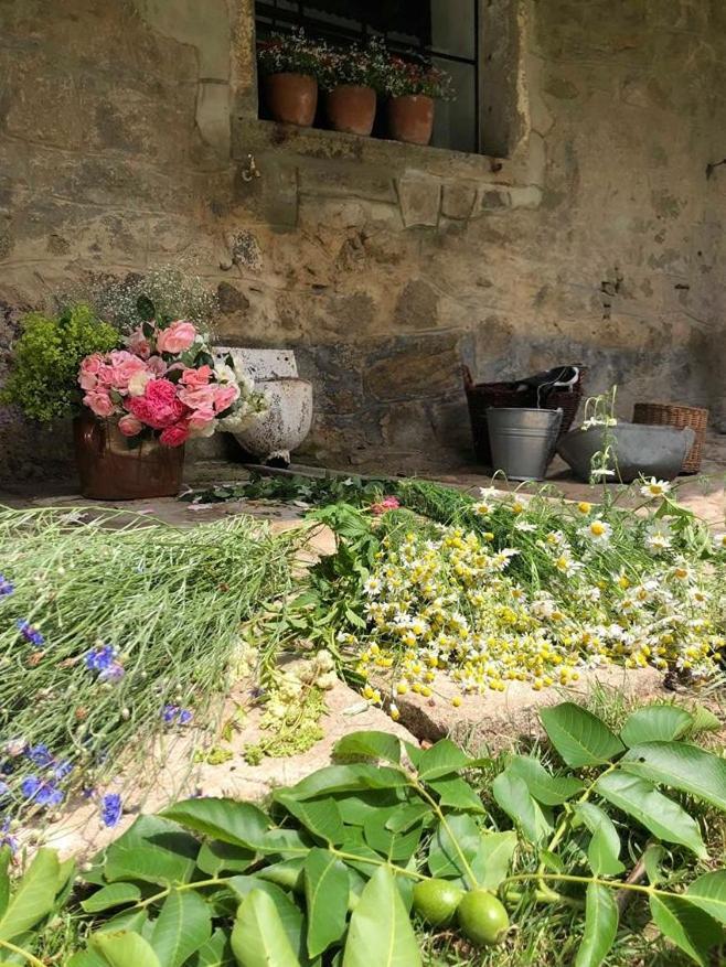 Ubytovani Napoli Stara Cervena Voda Εξωτερικό φωτογραφία
